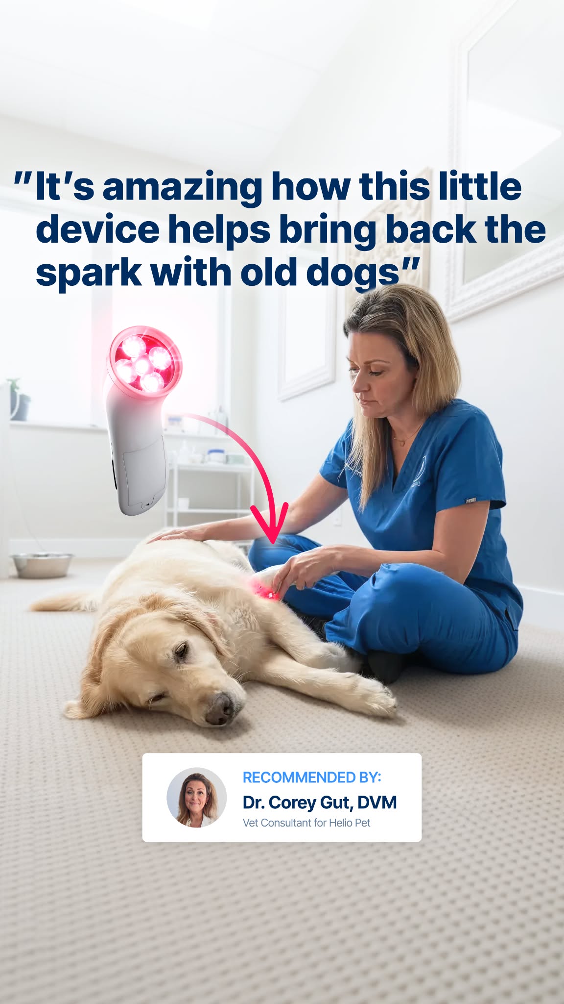 Dr. Corey Gut, Veterinarian Facebook ad