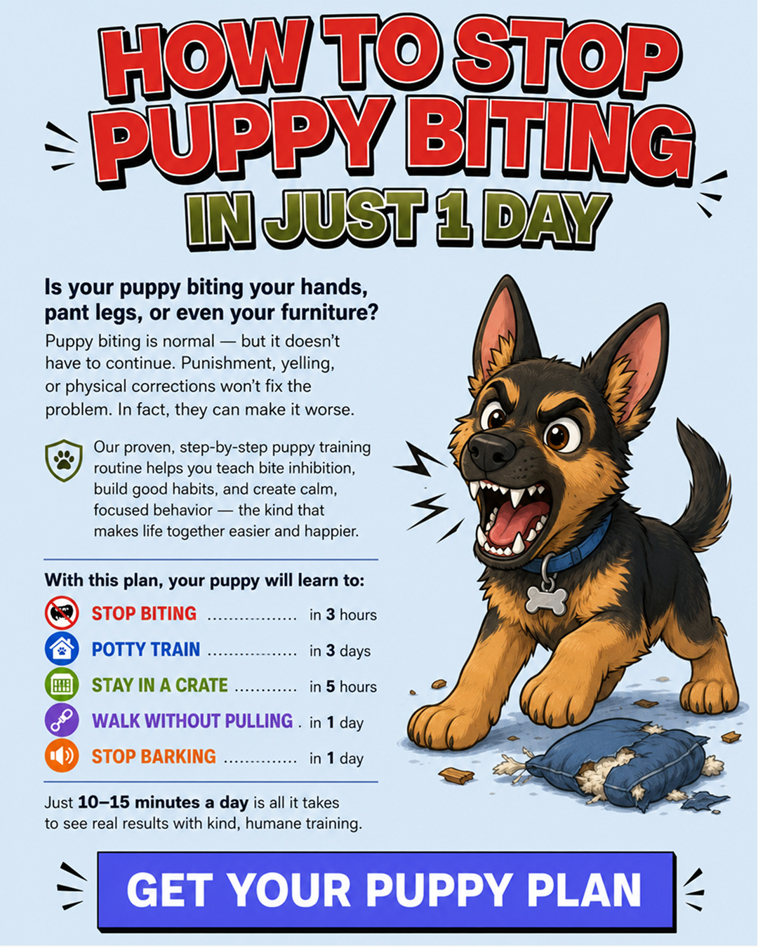 Ben Your Puppy Trainer Facebook ad