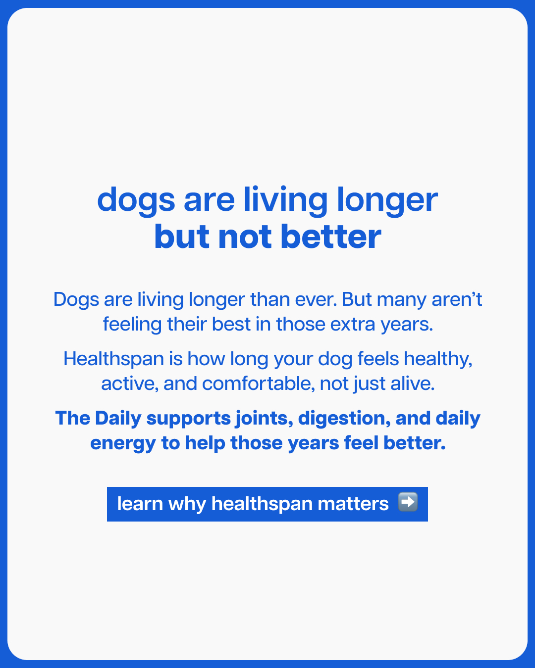 Native Pet Facebook ad