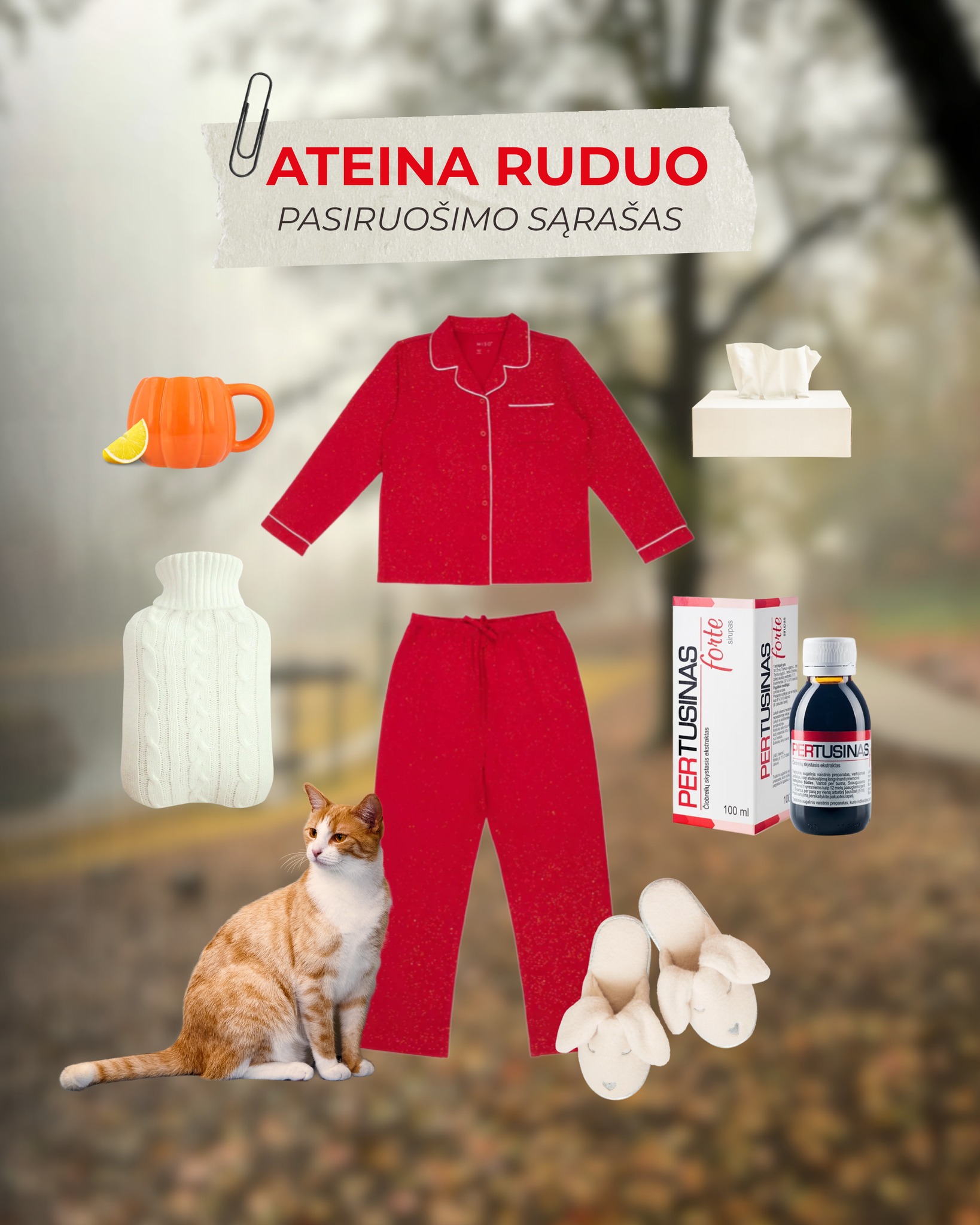 Pertusinas Lietuva Facebook ad: Rudens starter pack