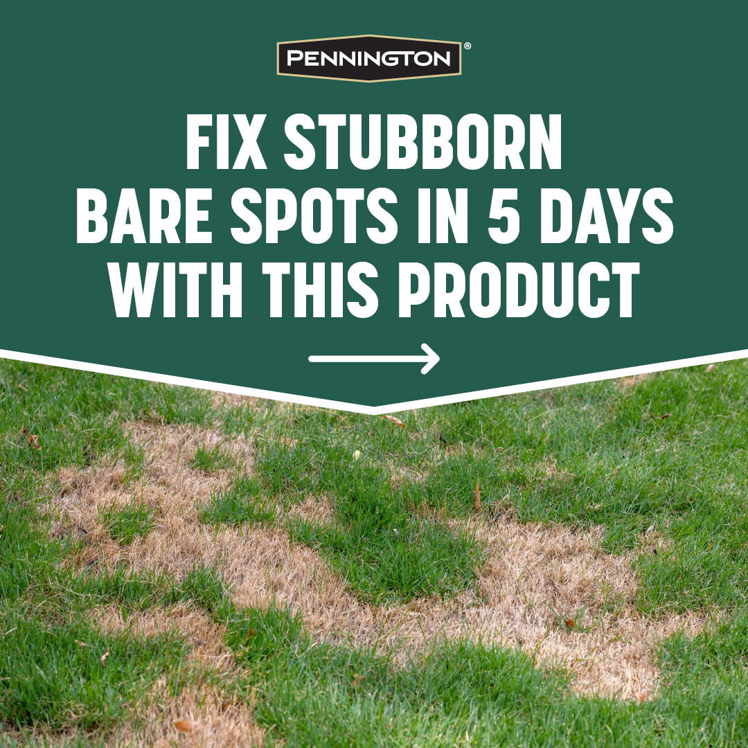 Pennington Lawn and Garden Facebook ad: Start with a simple quiz