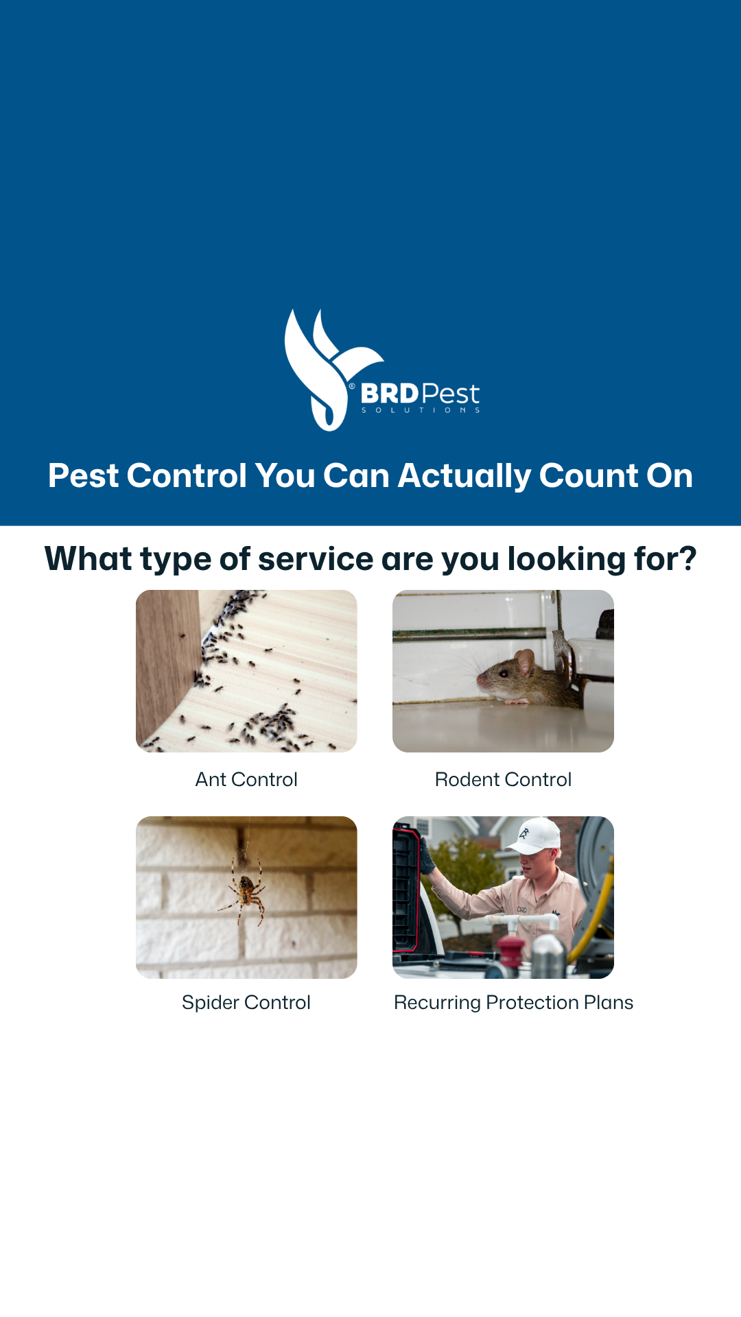 BRD Pest Solutions Facebook ad from Jun 12, 2026