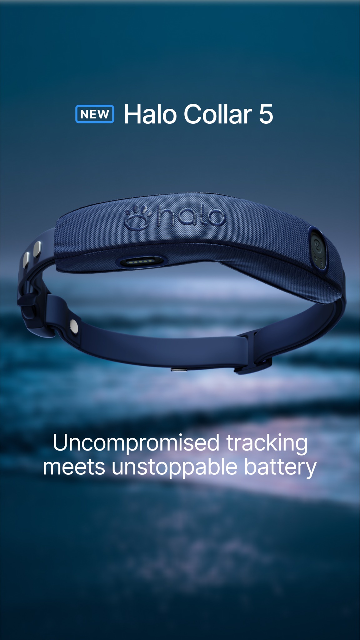 Halo Collar Facebook ad
