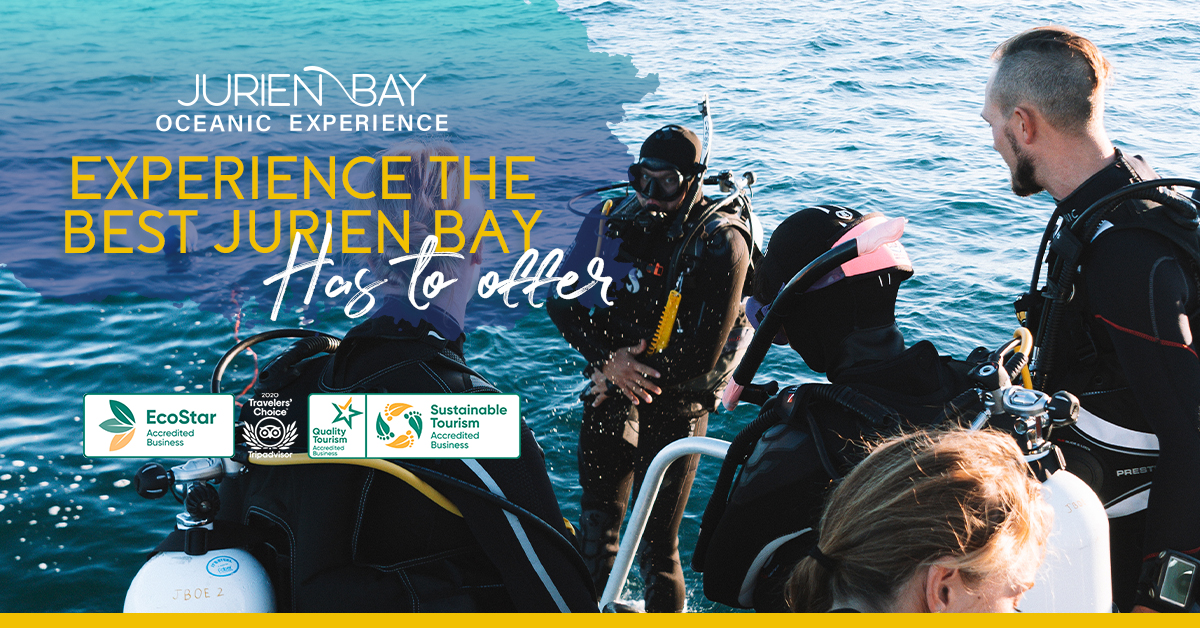Jurien Bay Oceanic Experience Facebook ad