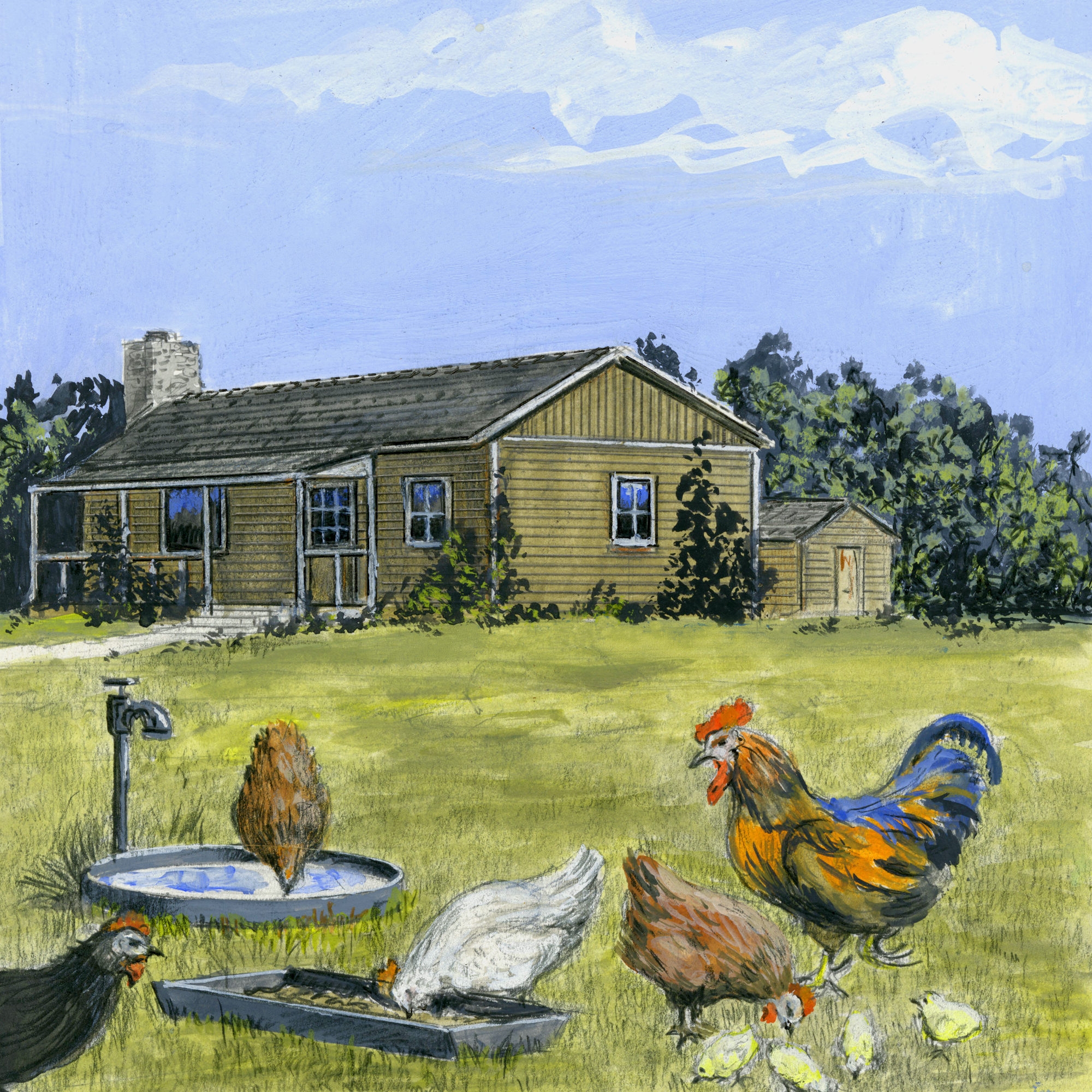 Backwoods Home Magazine Facebook ad