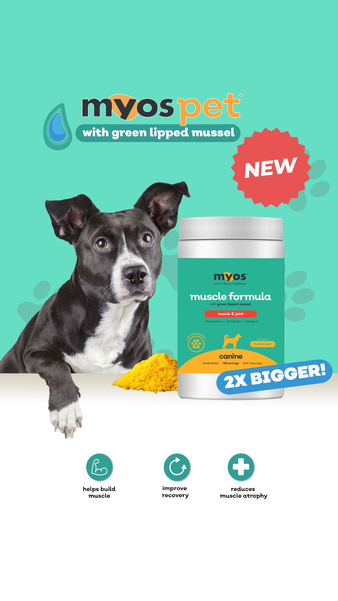 Myos Pet Products Facebook ad
