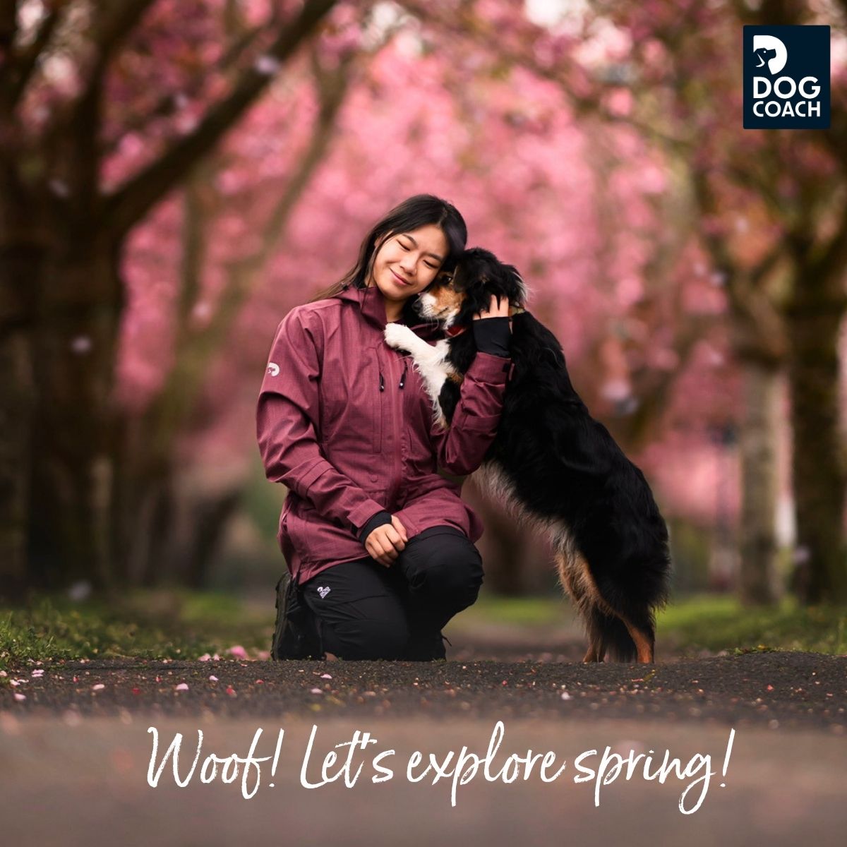 DogCoach Facebook ad