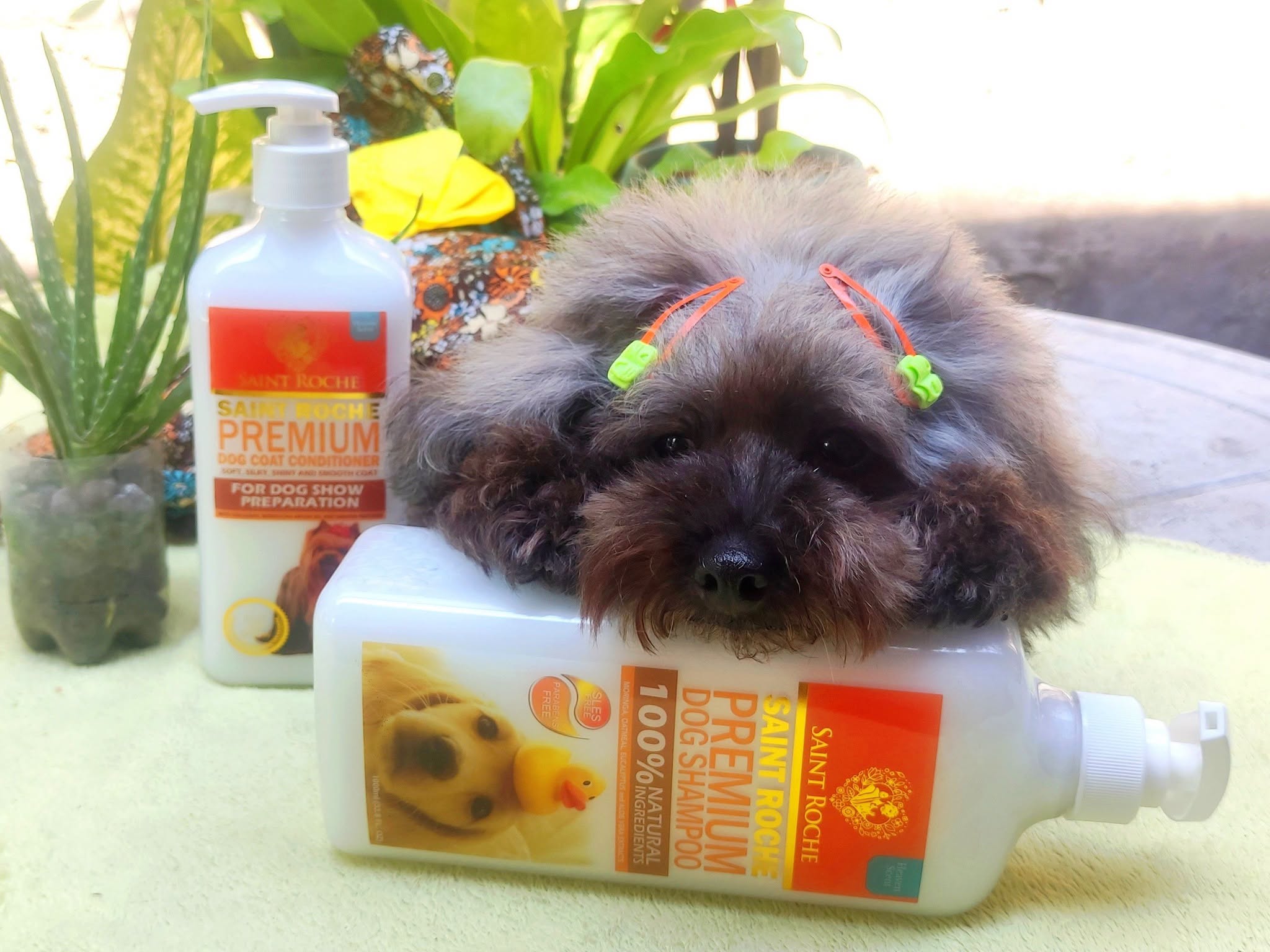 Saint Roche Premium Dog Shampoo Facebook ad