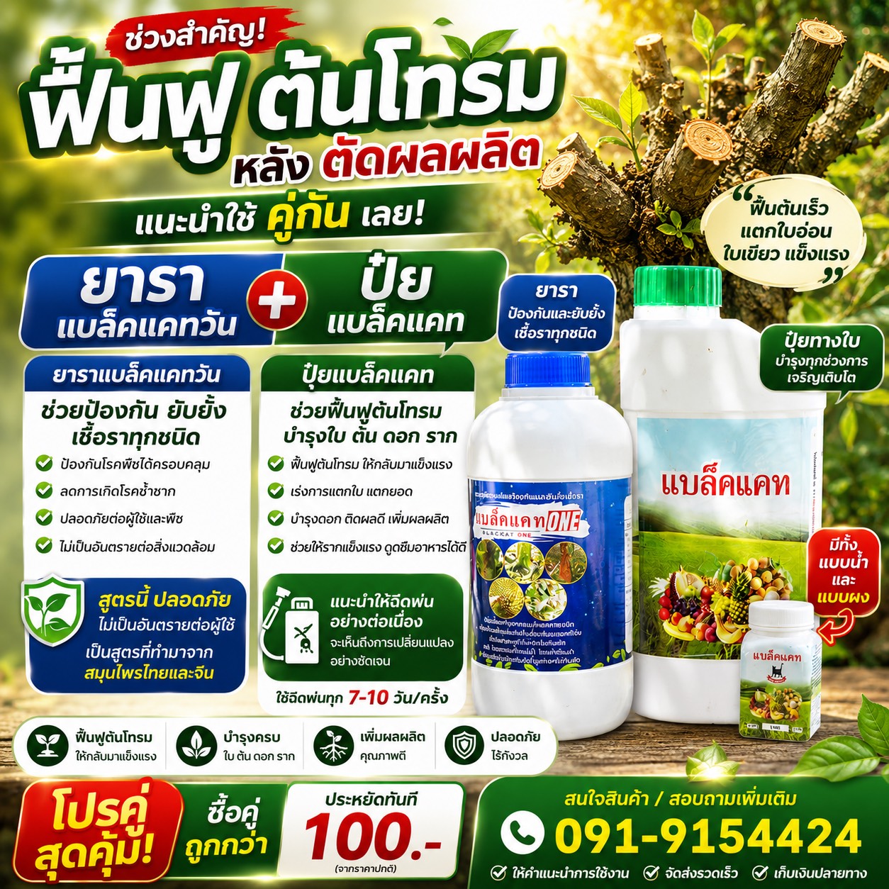 ปุ๋ยแบล็คแคท-ภาคตะวันออก ระยอง จันทบุรี ตราด Facebook ad