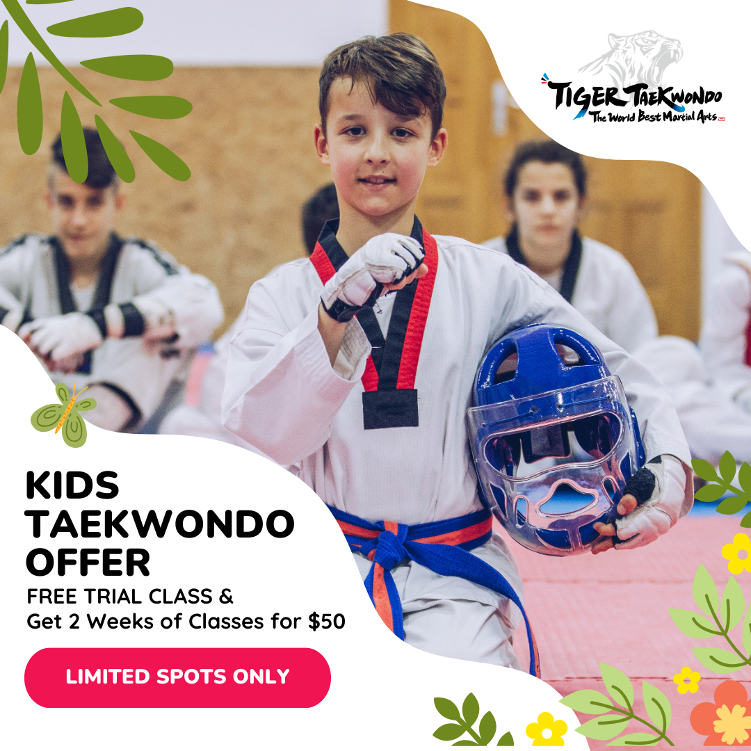World Best Tiger Taekwondo Guelph Facebook ad