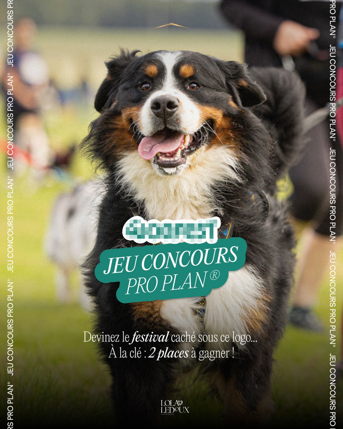 ProPlan France Facebook ad: Au programme: un festival unique, des chiens partout…