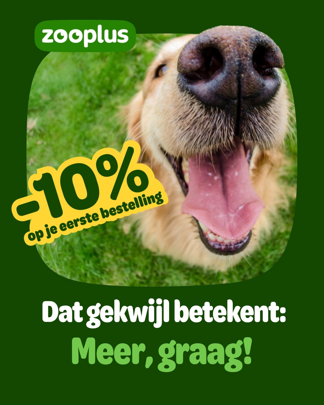 zooplus Facebook ad: Alles voor je hond kopen? De beste prijs bij zooplus!