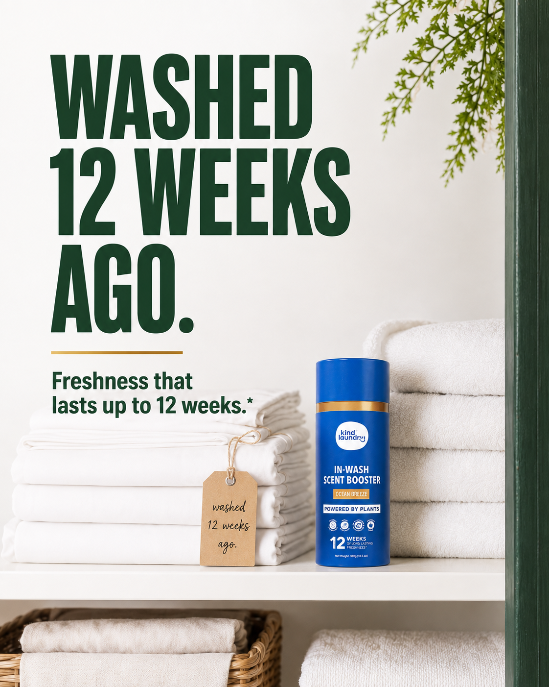 Kind Laundry Facebook ad