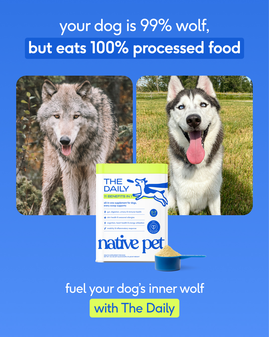 Native Pet Facebook ad