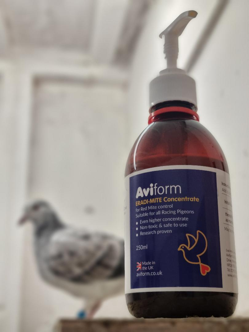 Aviform Nutrition UK - Avian Facebook ad: Buy 1 Get 1 Free