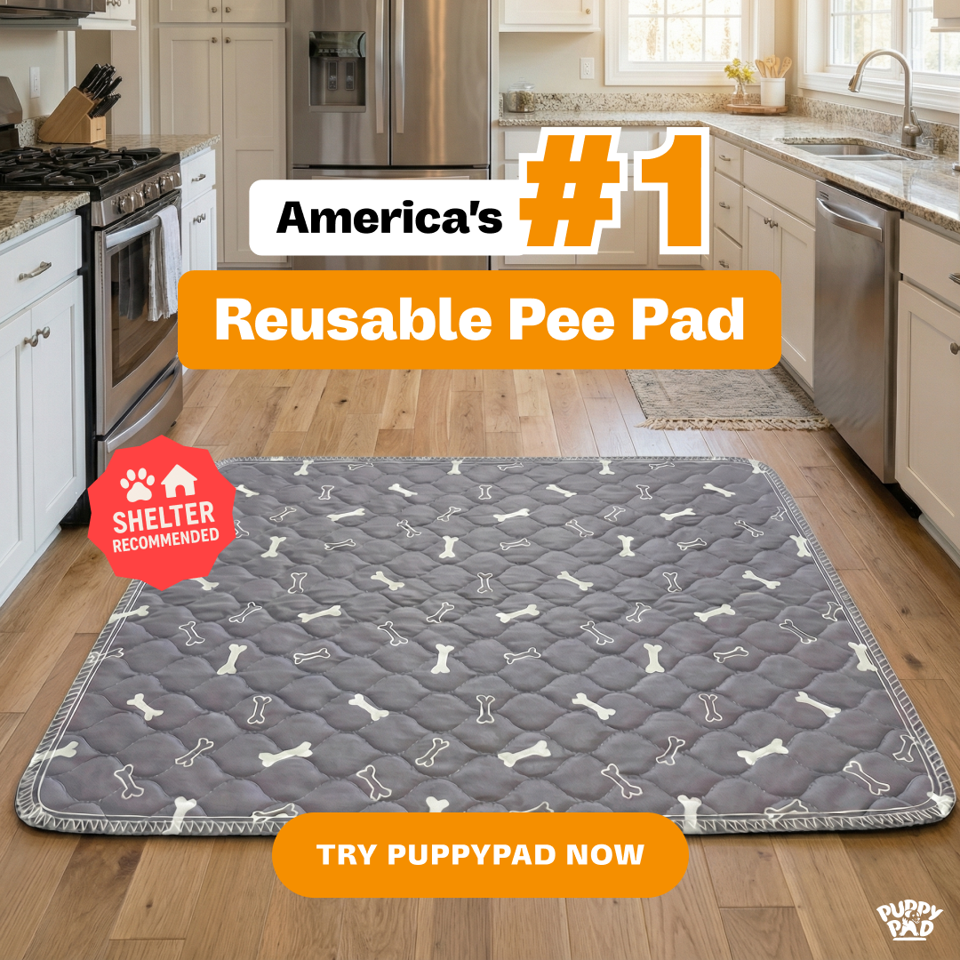 PuppyPad Facebook ad