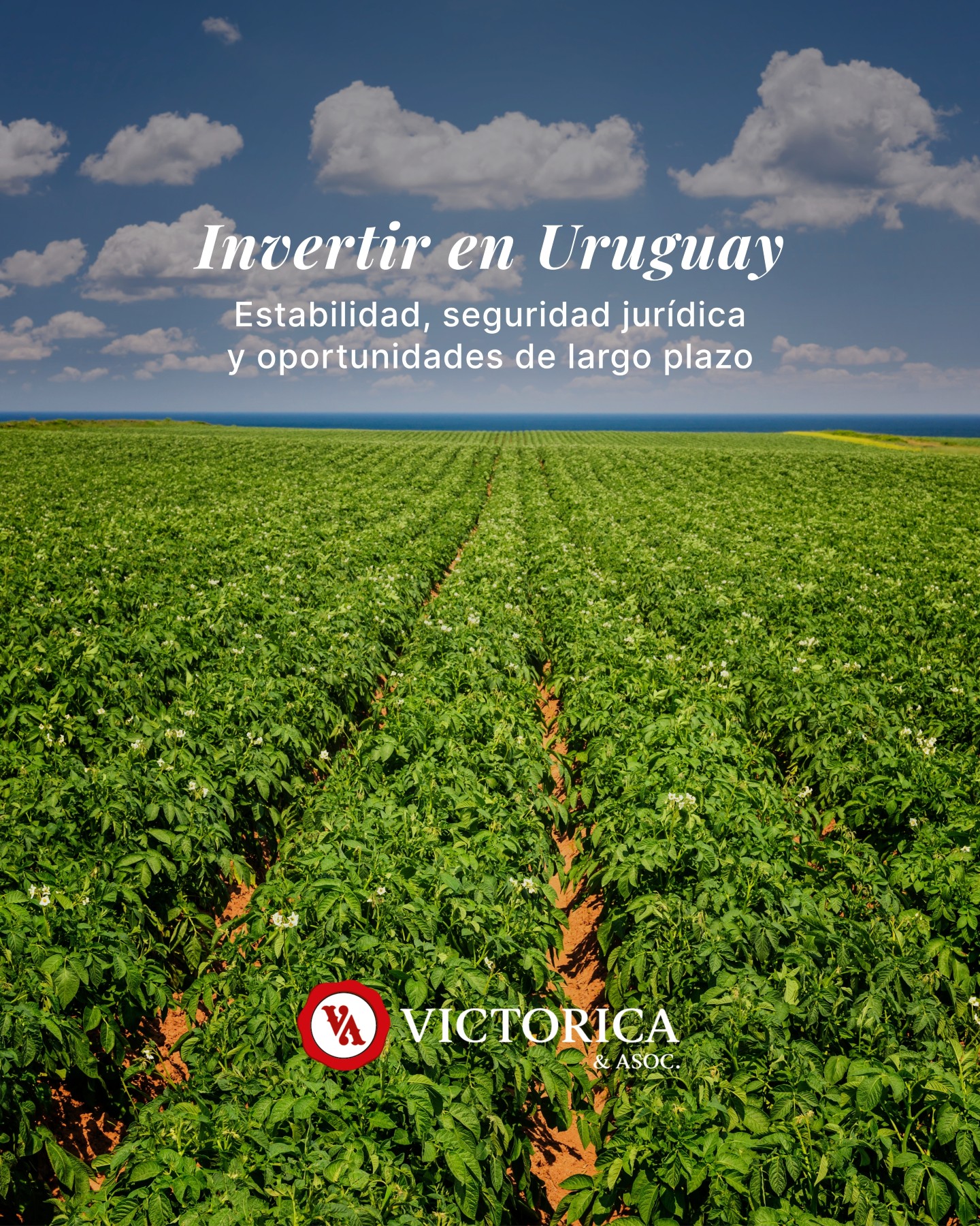 Victorica & Asociados Facebook ad: Invertir en tierra es pensar a largo plazo.