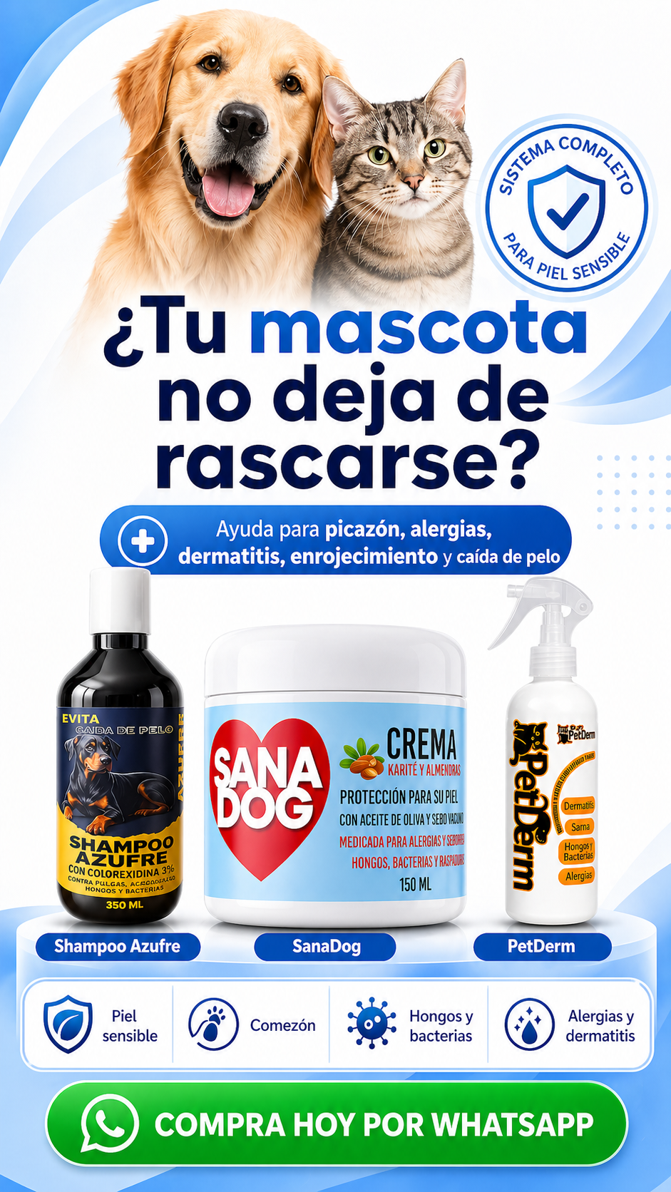 Tienda LMS Facebook ad