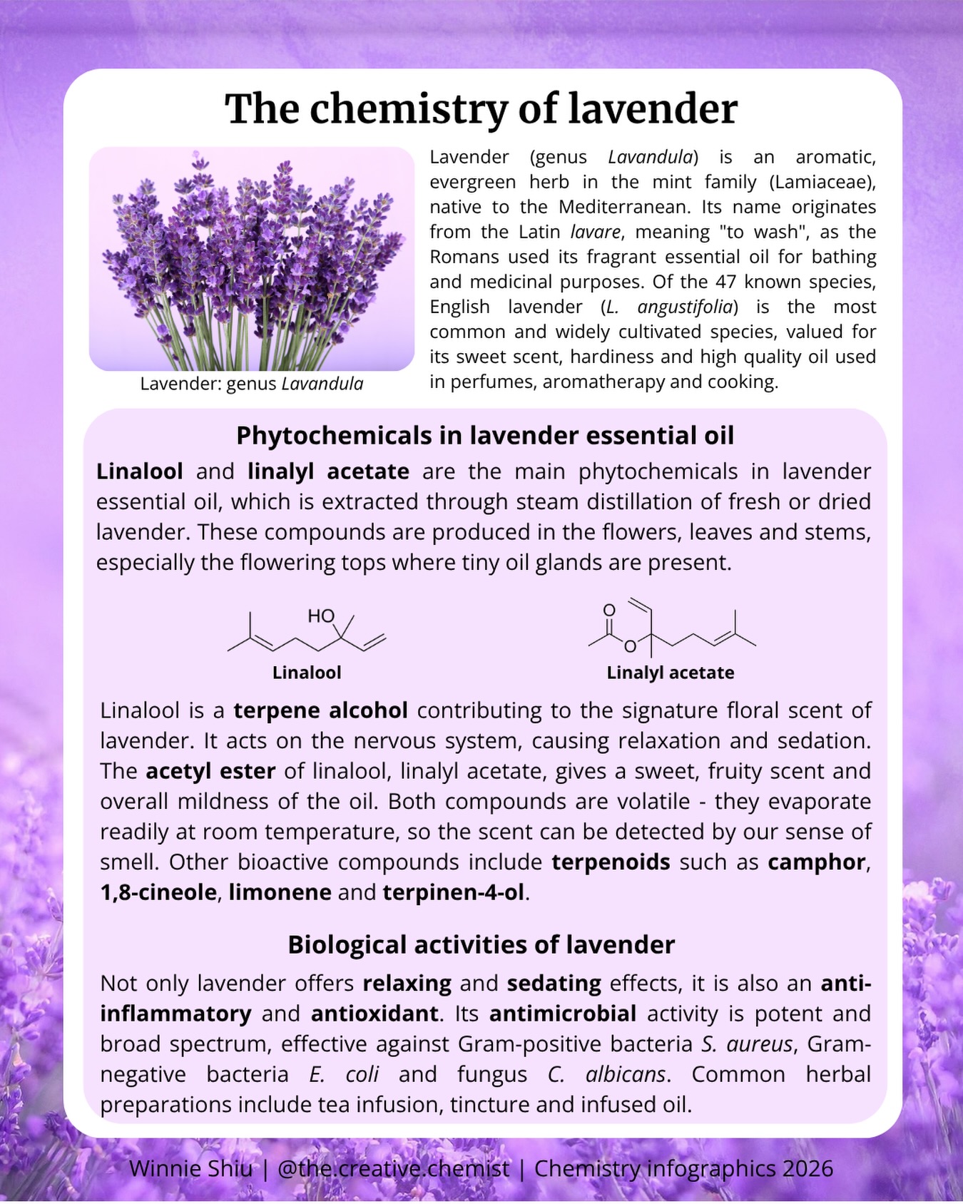 the.creative.chemist Facebook ad: Lavender (genus Lavandula) is an aromatic, evergreen herb…