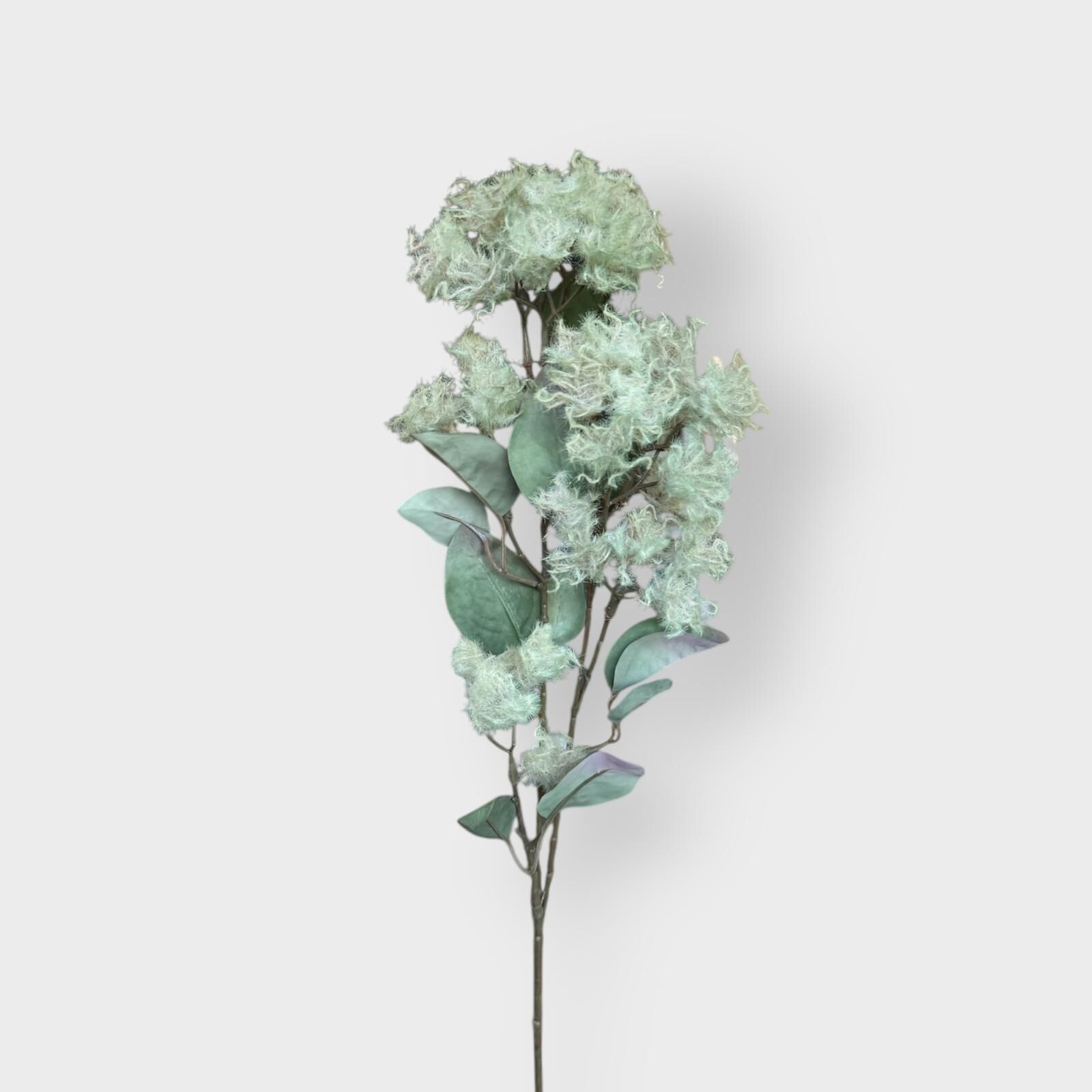 Silkflora Facebook ad: Australia’s Largest Artificial Flower’s Retailer