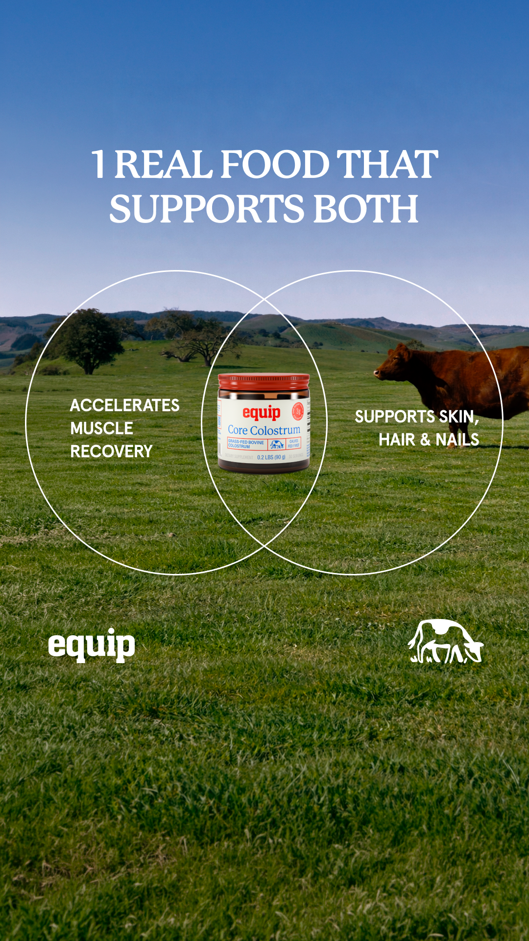 Equip Facebook ad