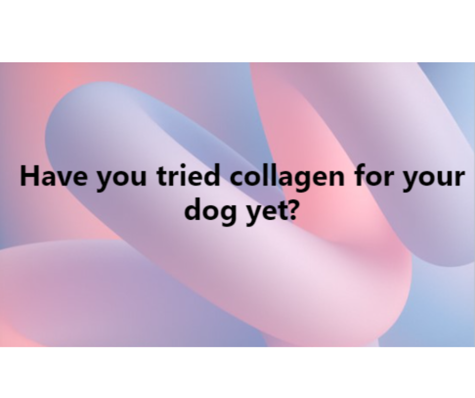 Pawable Facebook ad