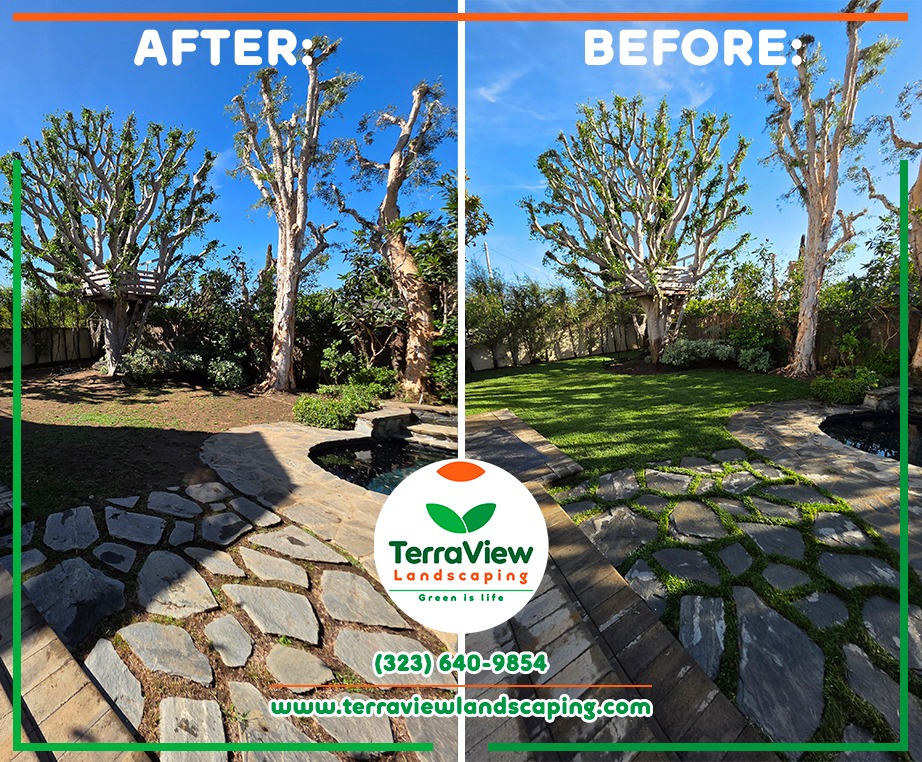 Terraview Landscaping Facebook ad: Imagine. and we do it!