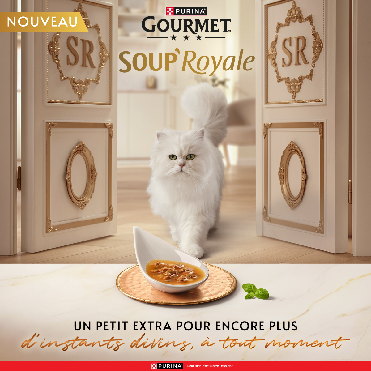Purina France Facebook ad