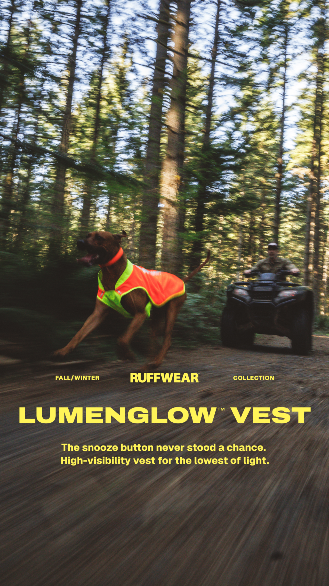 Ruffwear Facebook ad