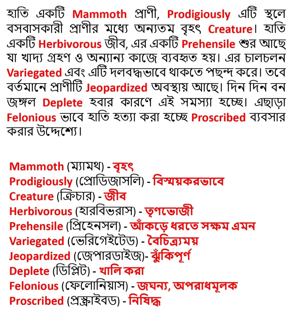Vocabulary Trainer Facebook ad: **মুখস্থ নয়, স্মার্ট টেকনিক দিয়ে ভোকাবুলারি শিখুন!**