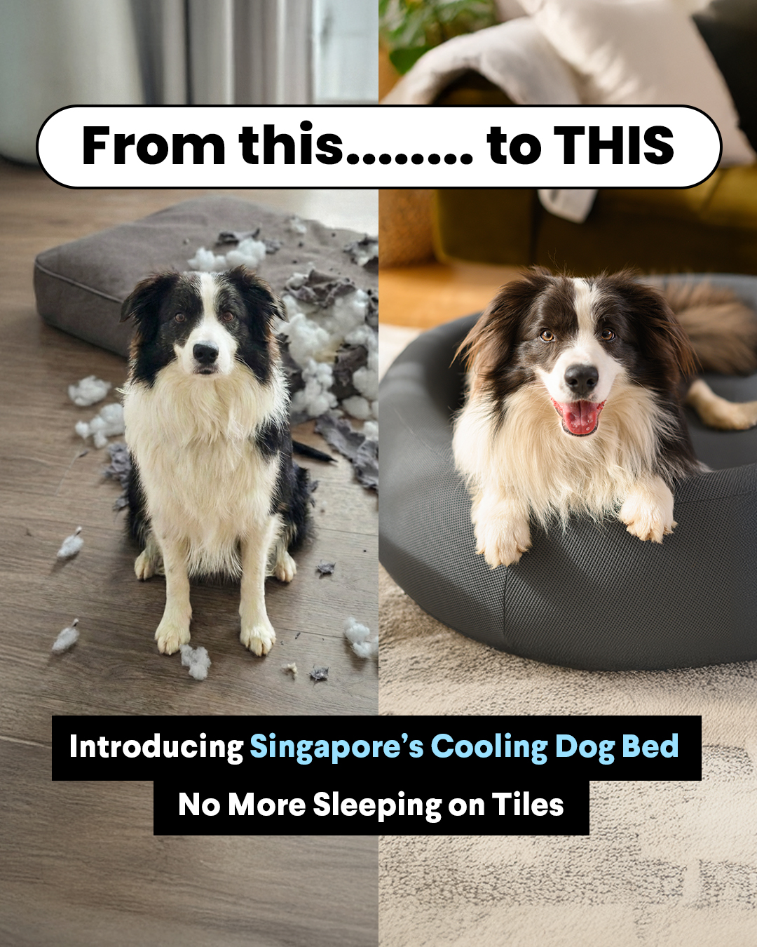 The Brooklyn Facebook ad