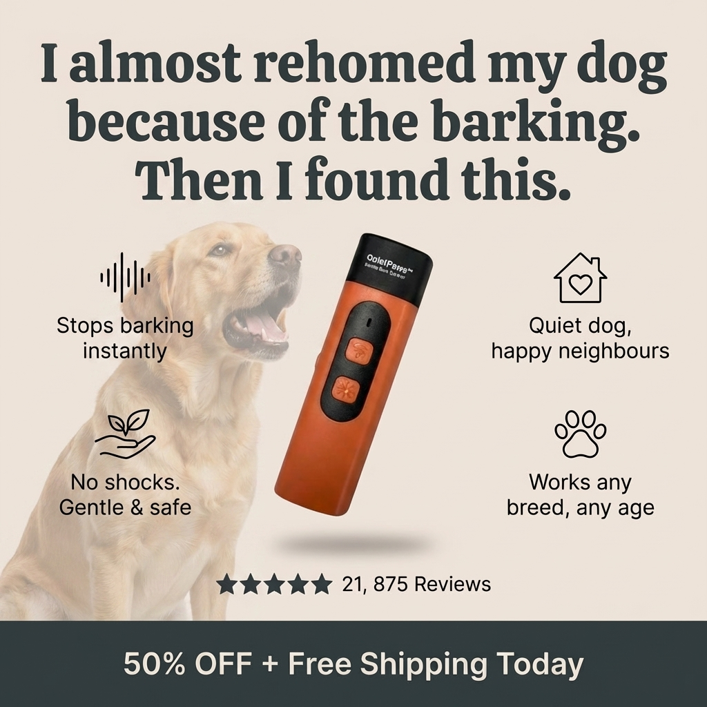 Hunters Doggy Daycare Facebook ad