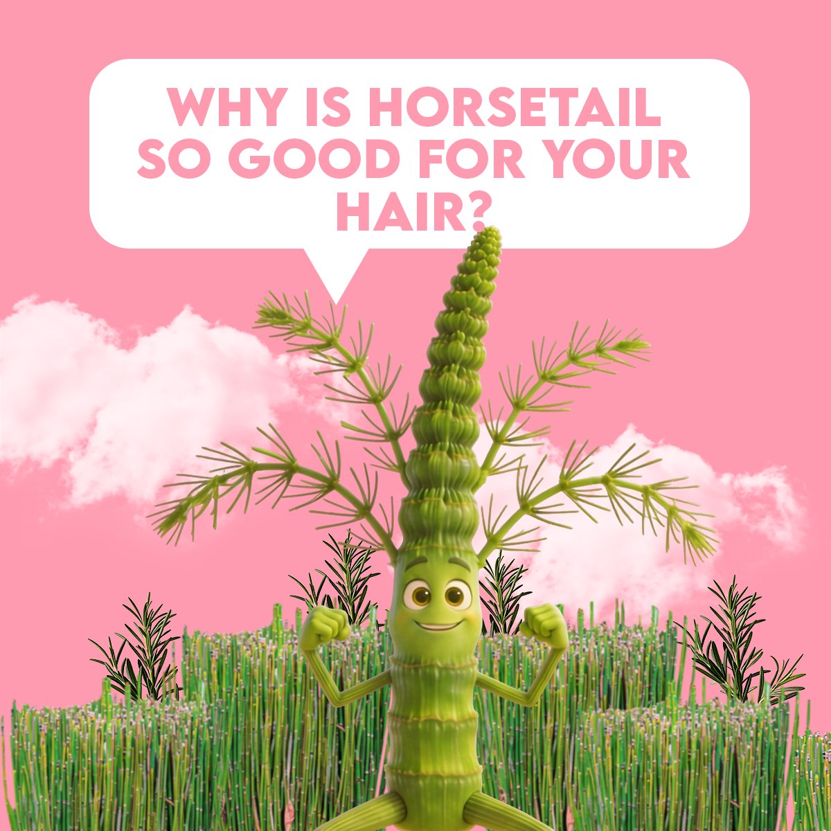 Secreto Herbal USA Facebook ad: These are just a few of the things…