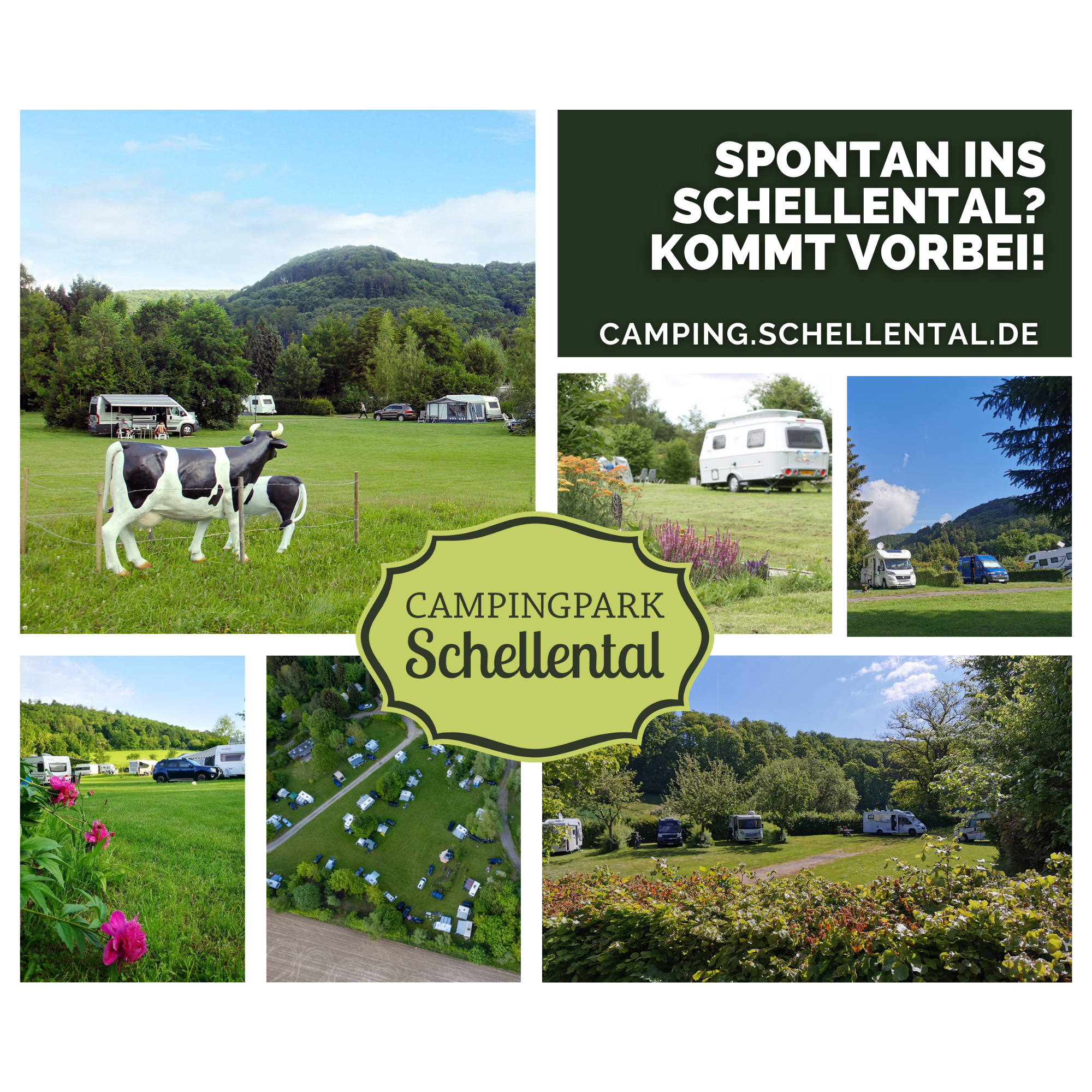 Campingpark Schellental in Bad Pyrmont Facebook ad