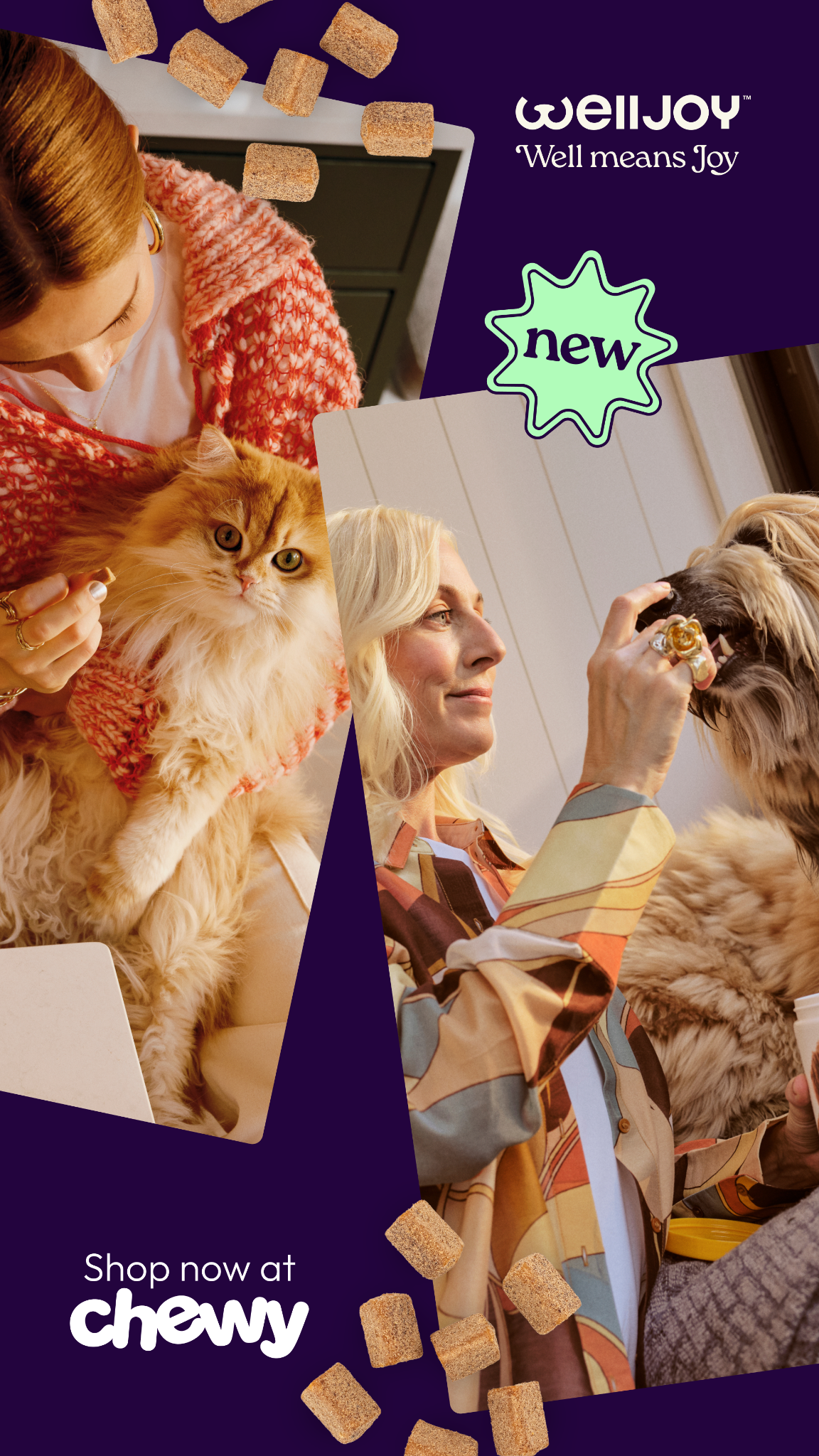 WellJoy Facebook ad from Feb 18, 2026