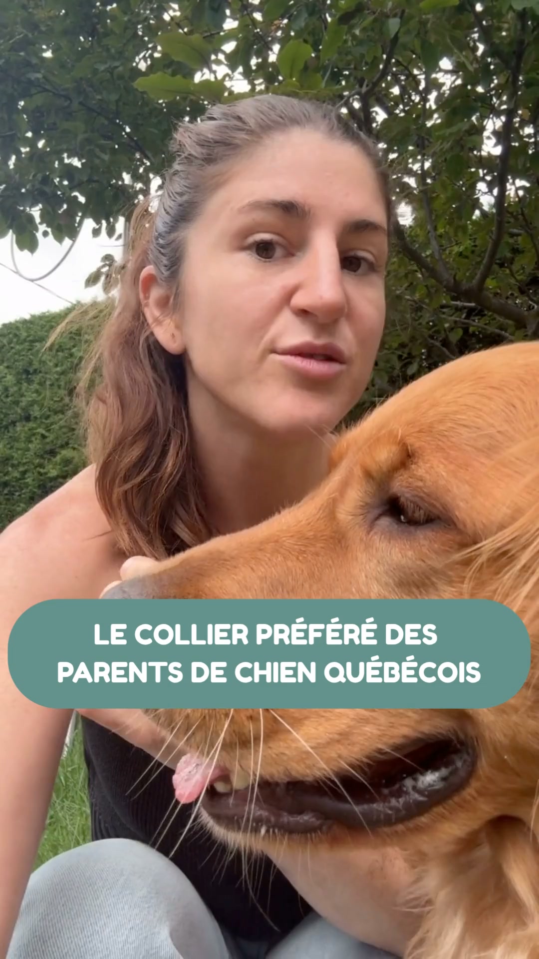 Créations Tanzo Facebook ad: La version locale de vos incontournables