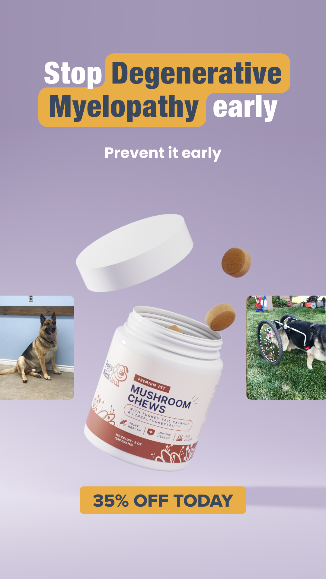 Pets Are Kids Facebook ad