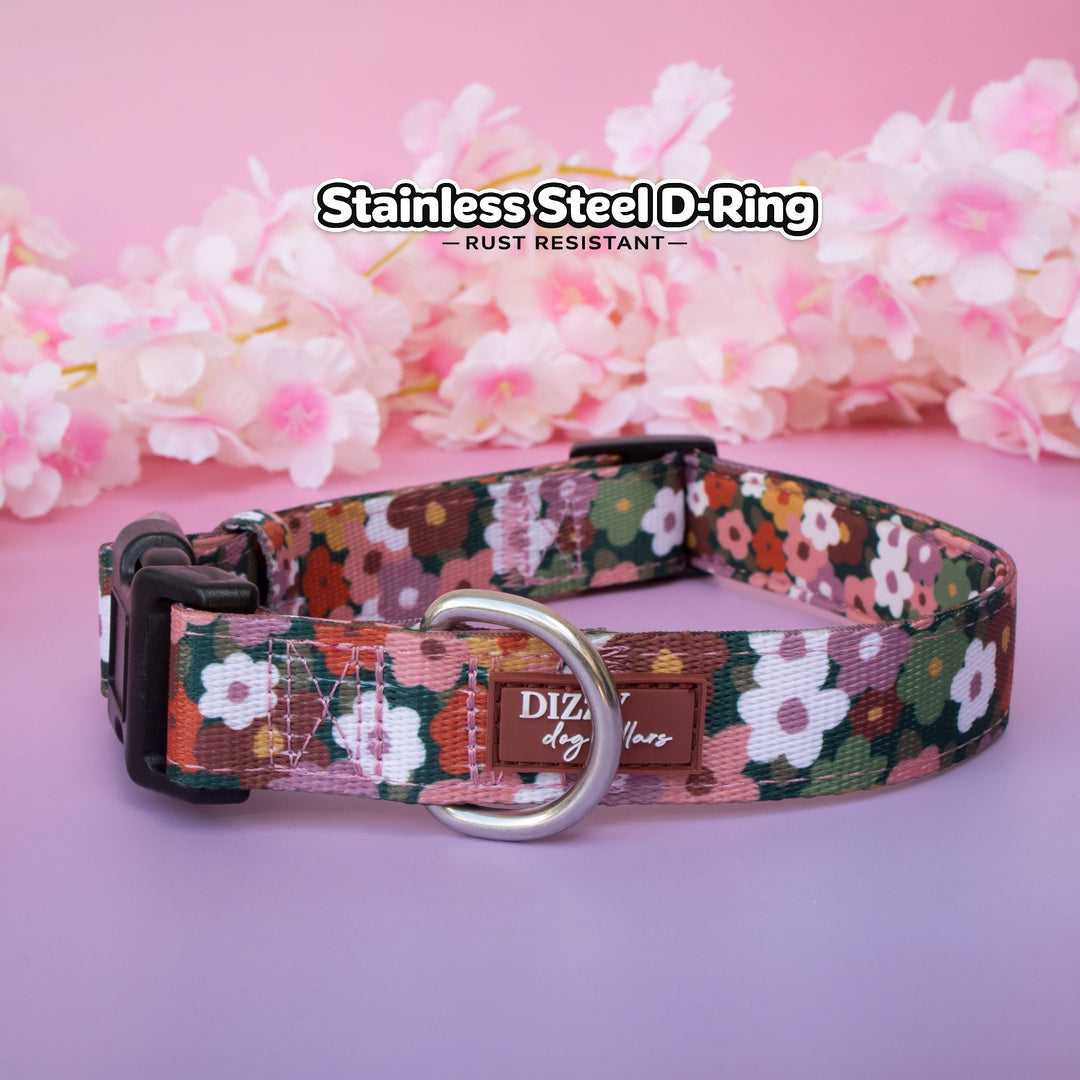 Dizzy Dog Collars Facebook ad: Autumn Acres Dog Collar | Neoprene Padded | Stainless…