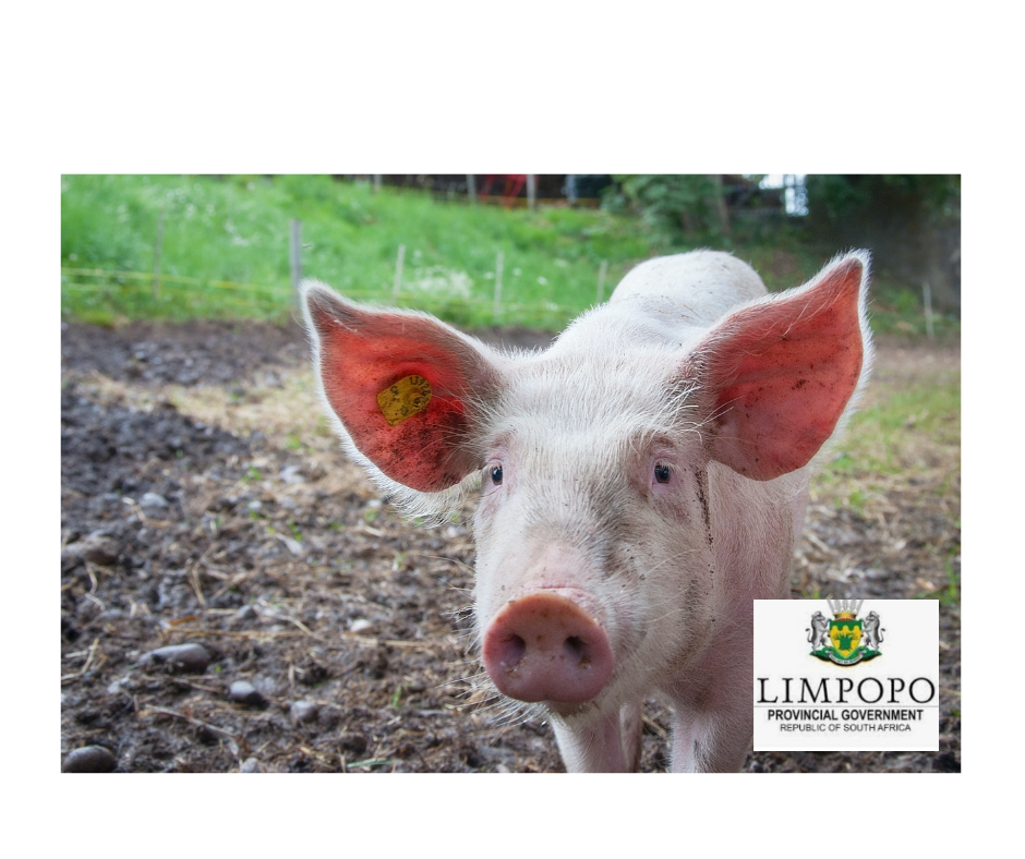 Agriculture Veterinary Section - Tzaneen Facebook ad: Clinical State