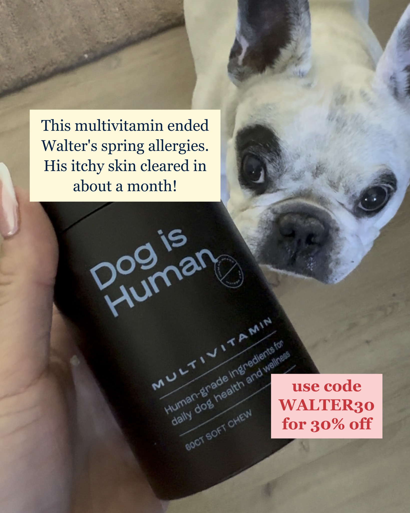 Dog is Human Facebook ad
