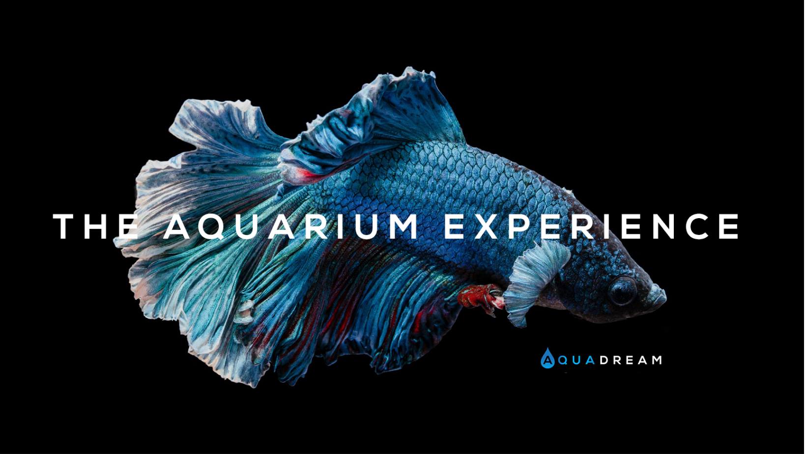 Aqua Dream Facebook ad from Oct 31, 2025