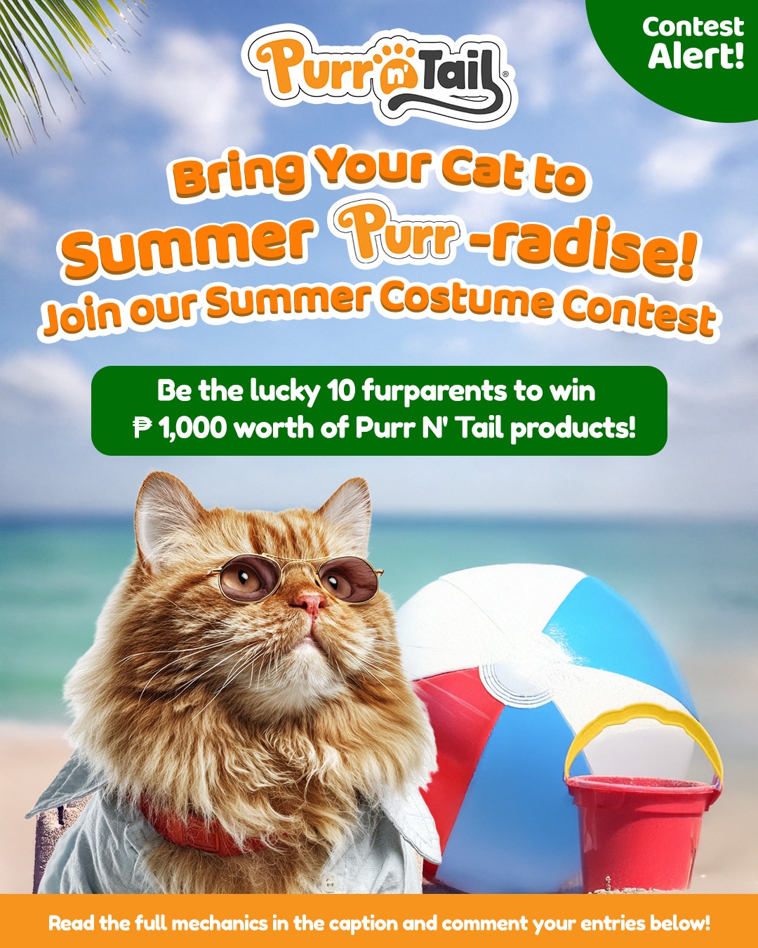 Purr N' Tail Facebook ad