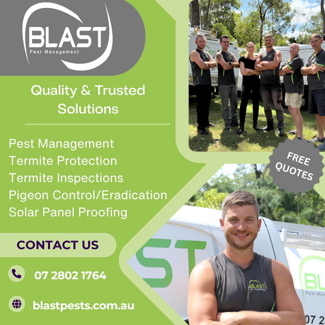 Blast Pest Management Facebook ad from Mar 25, 2026