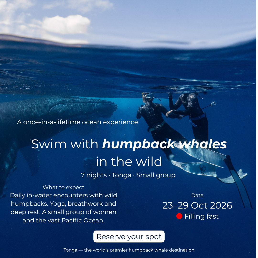 Yoga With Maja Facebook ad: Swim With Humpback Whales in Tonga