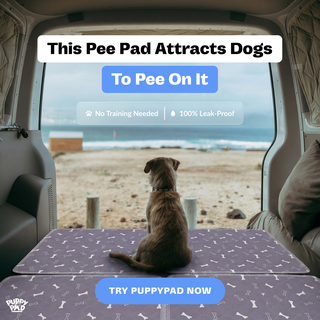 PuppyPad Facebook ad