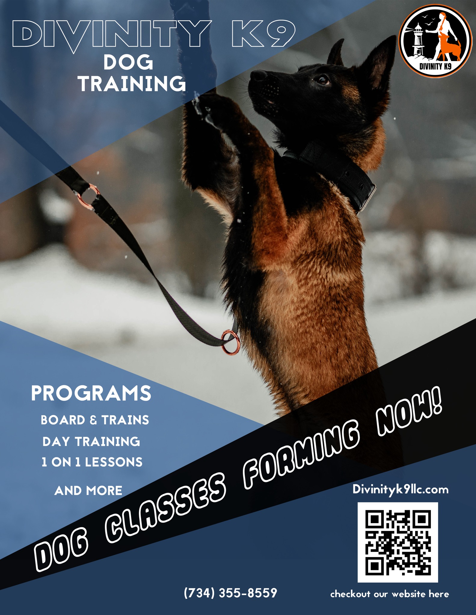 Divinity K9 Facebook ad: Sign up now for a completely free consultation!
