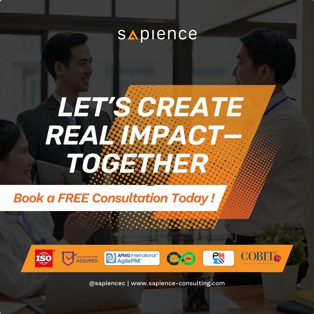 Sapience Consulting Facebook ad