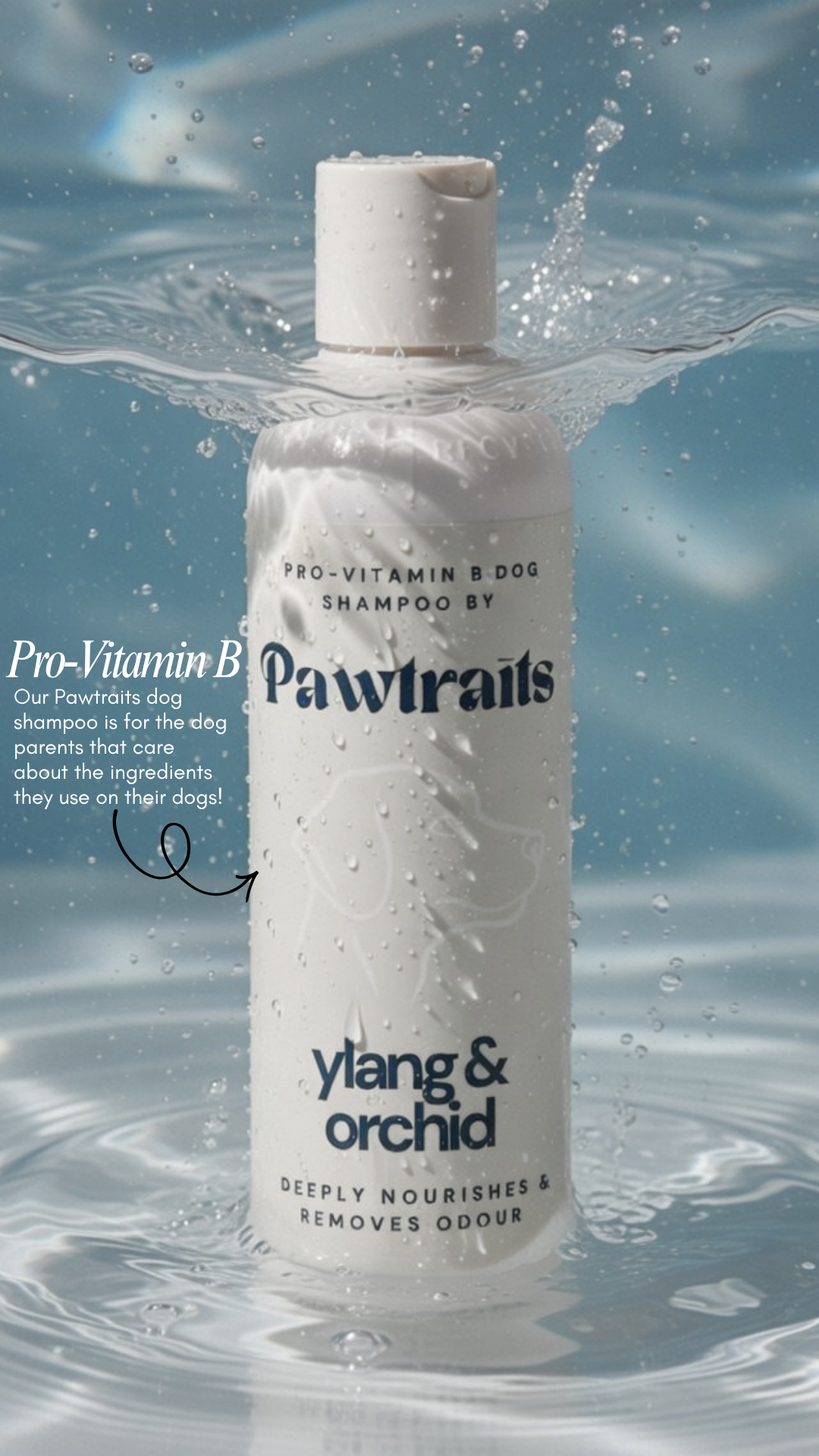 Pawtrait Dog Salon Facebook ad