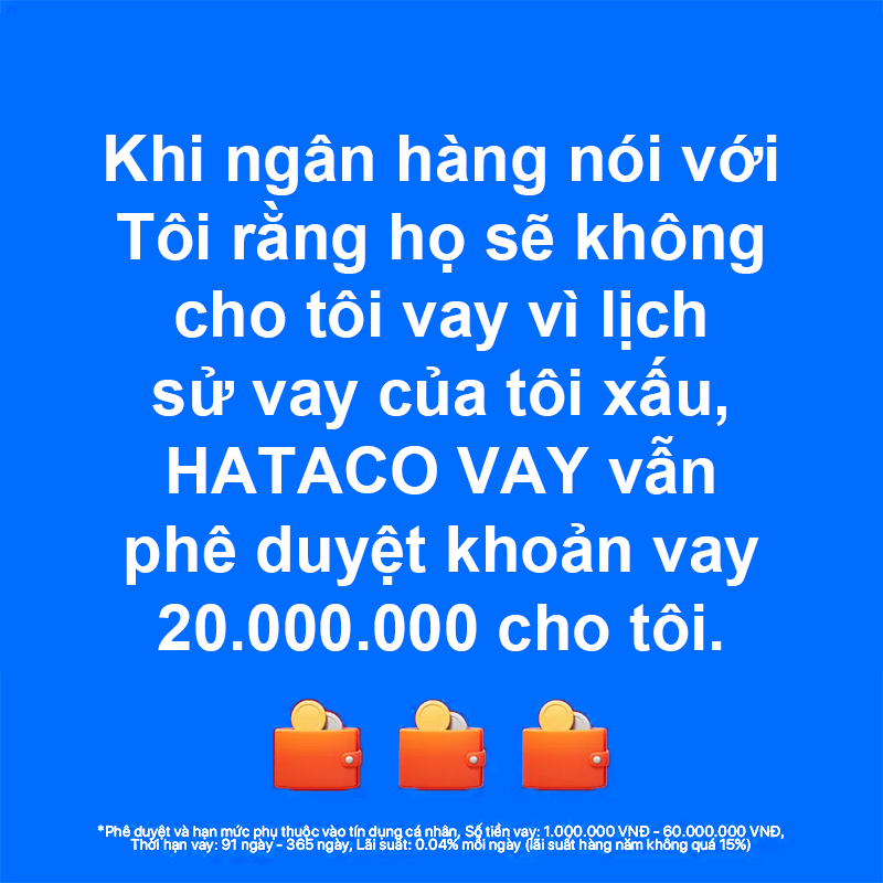 HV 4 Facebook ad