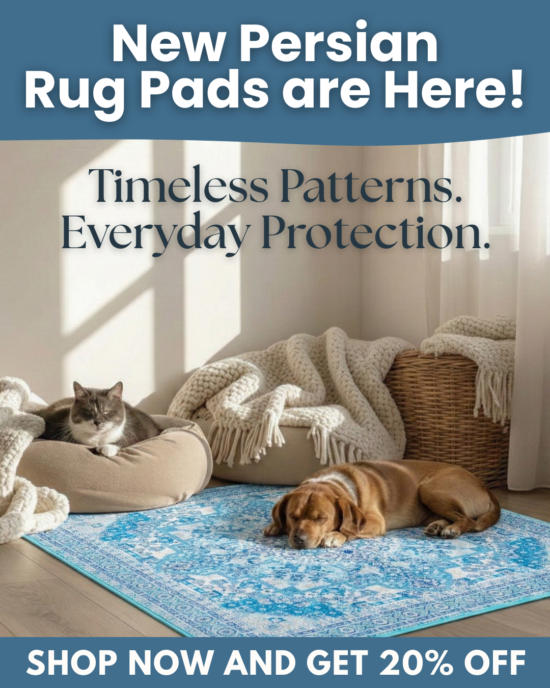 Potty Buddy Facebook ad
